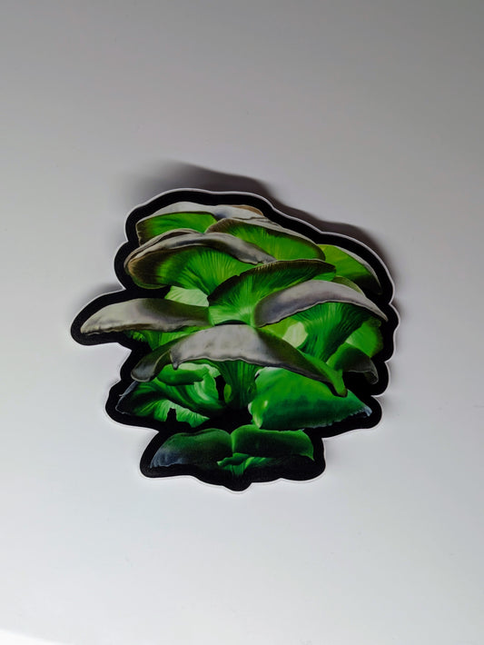 KT Barron - Mushies