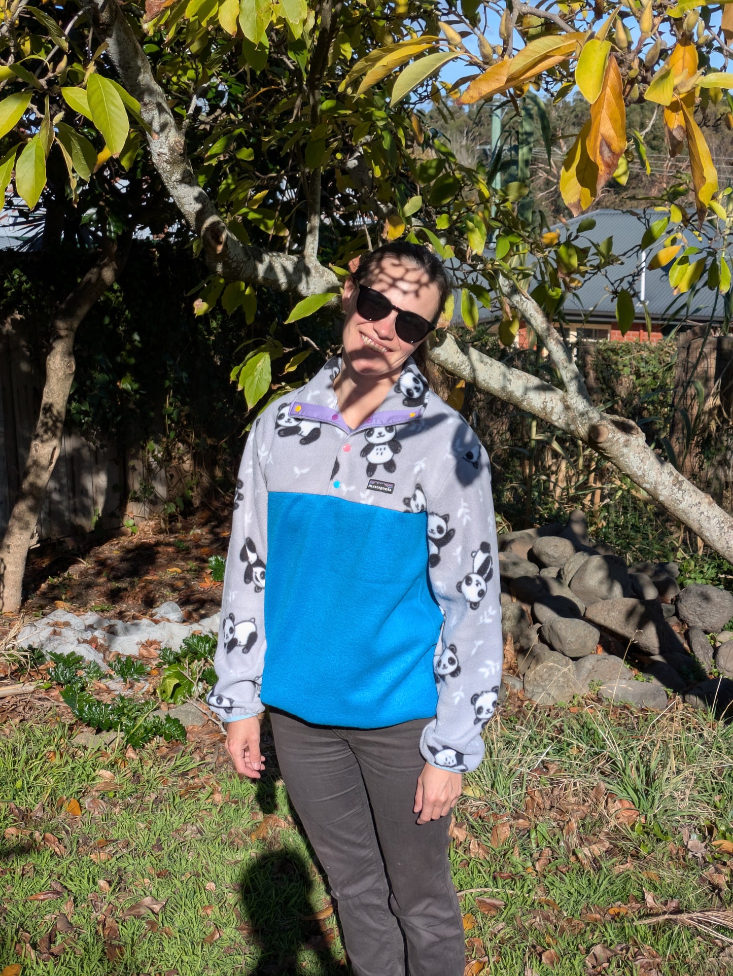 Pandas - Blue